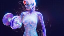 A digital illustration of a translucent human figure lifting a dumbbell, highlighting muscles, nerves, and neural pathways.