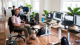 Four people work at desks with computers in a modern, bright office space with wooden floors and several green plants.