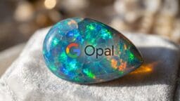 A polished opal gemstone with the Google logo and the word Opal printed on its surface.