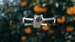 A small white drone with four propellers hovers outdoors in front of blurred orange and green foliage.