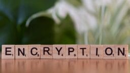 Scrabble tiles on a wooden surface spelling ENCRYPTION, with a blurred green and white background.